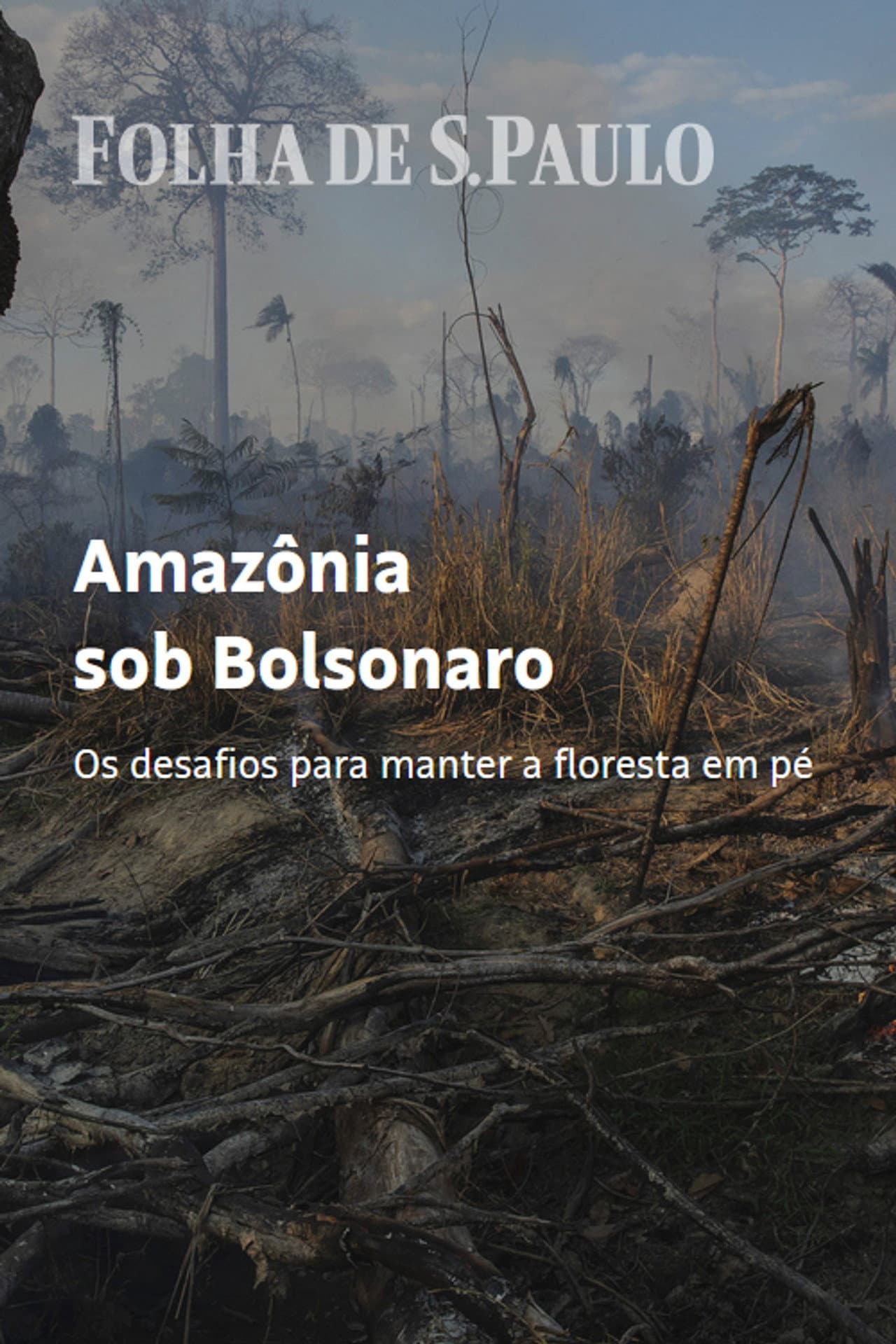 Amazon Under Bolsonaro preview 1