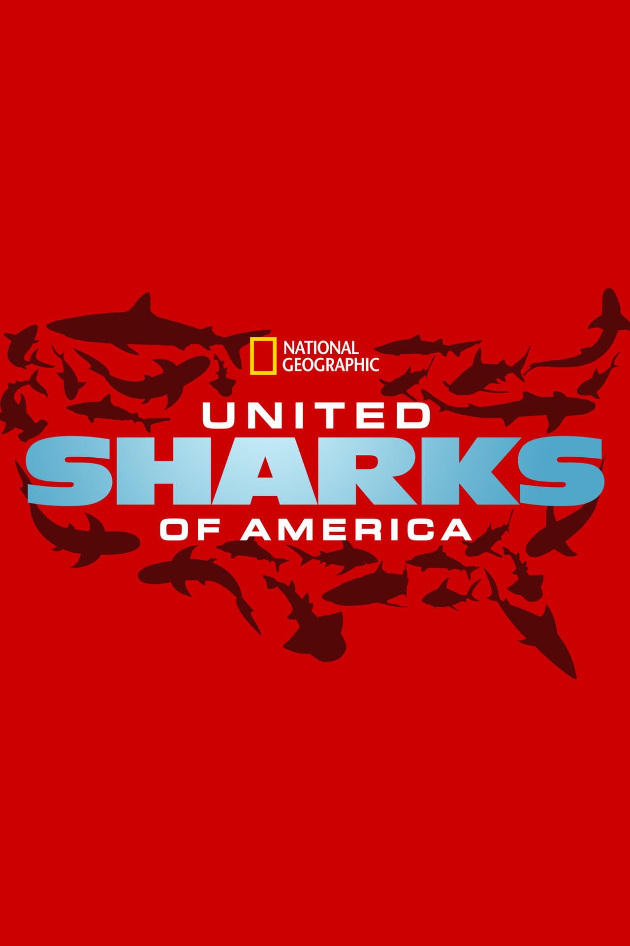 United Sharks of America preview 2