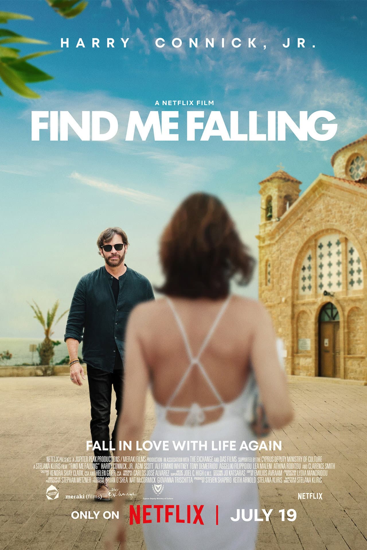 Find Me Falling preview 2