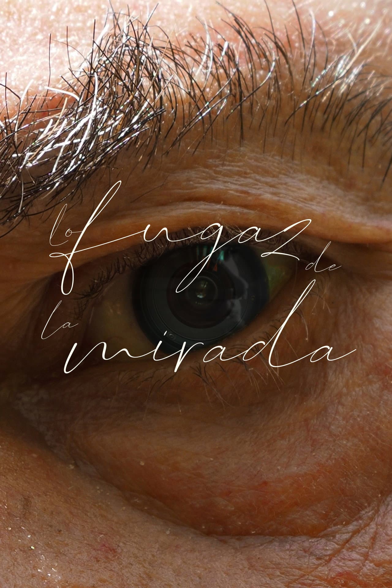 Lo fugaz de la mirada preview 1