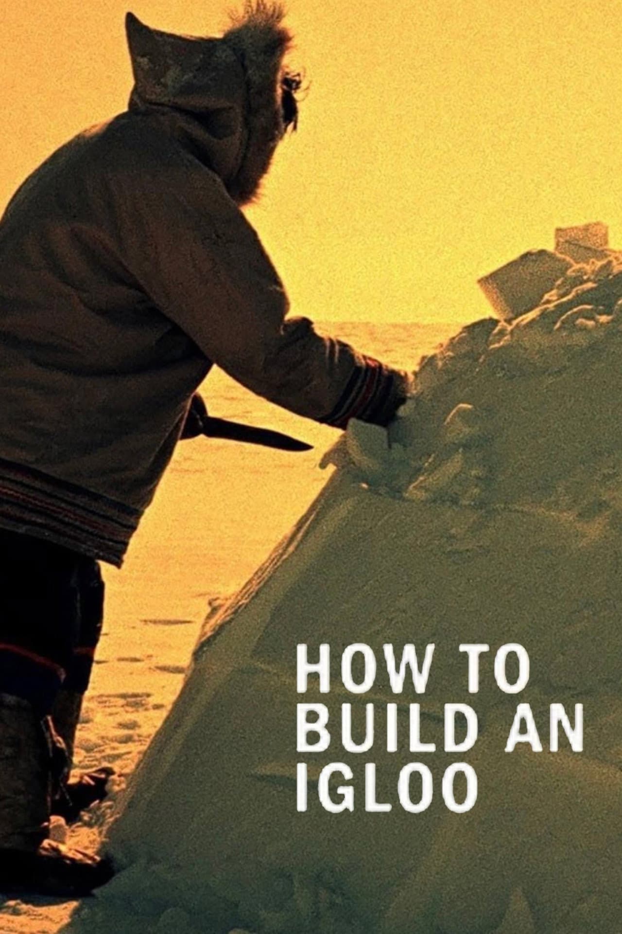 How to Build an Igloo preview 2
