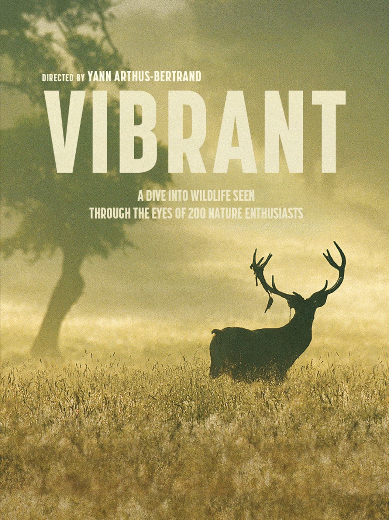 Vibrant preview 2