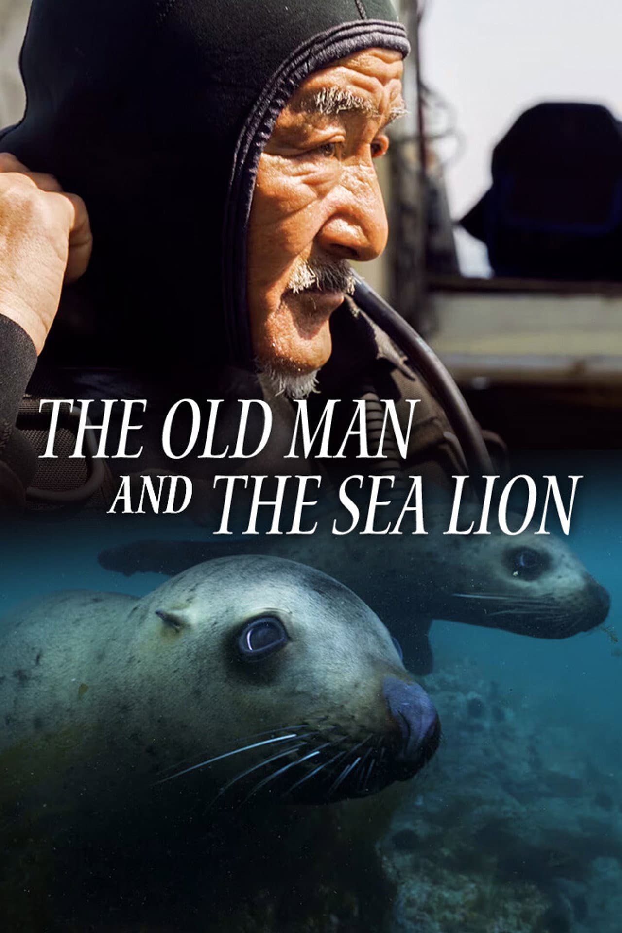 The Old Man and the Sea Lion preview 2
