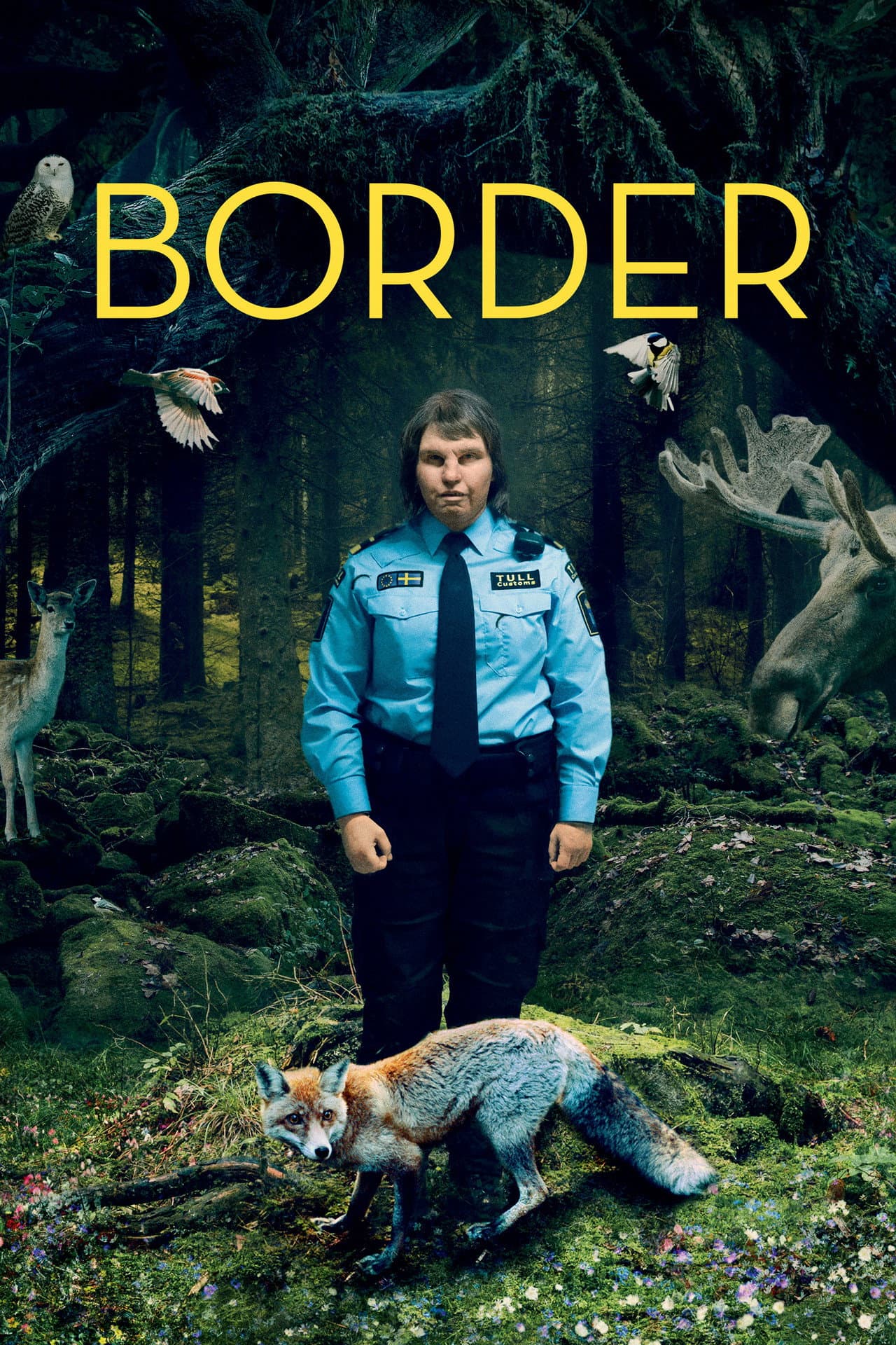 Border preview 2