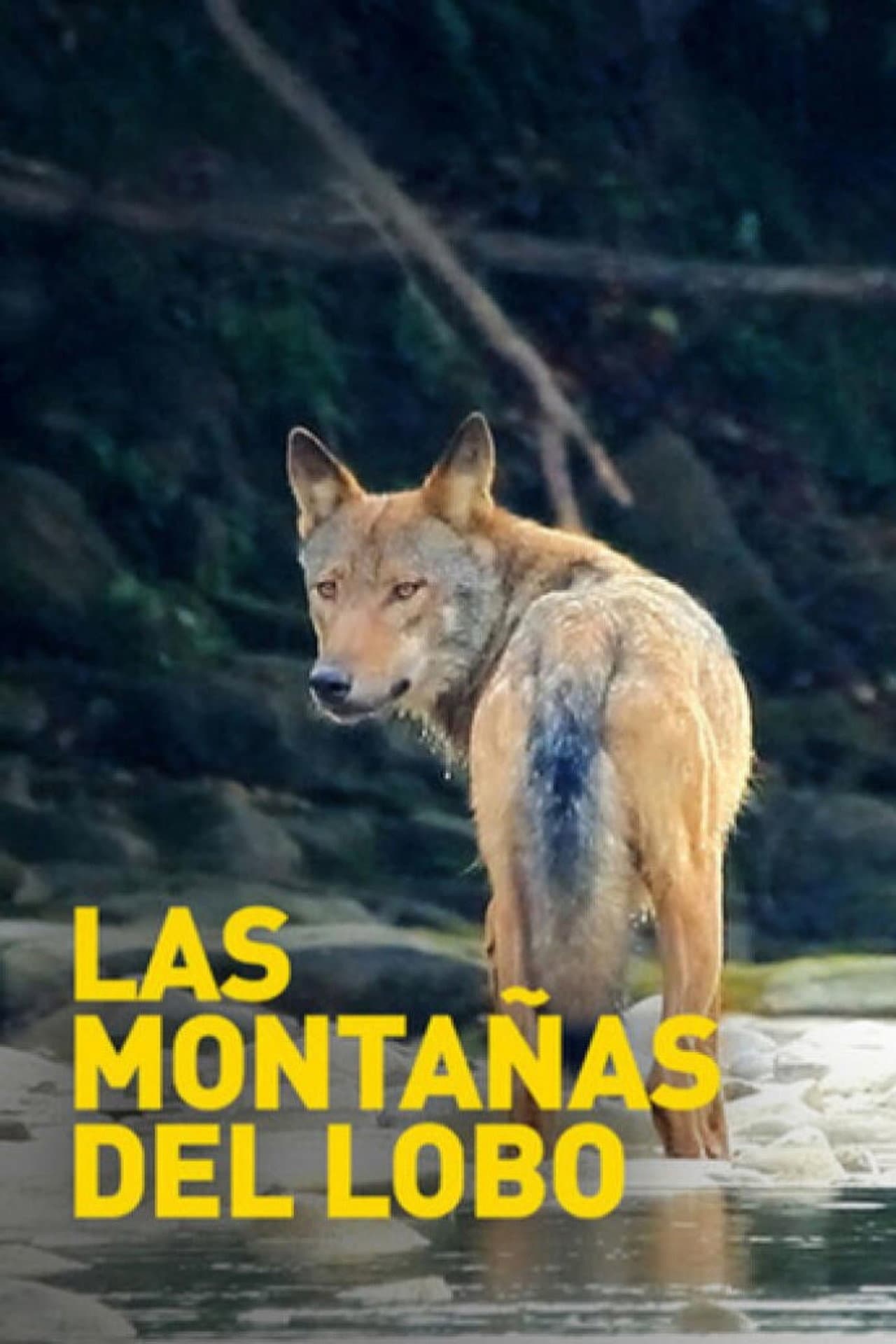 Mountains of the Wolf preview 1