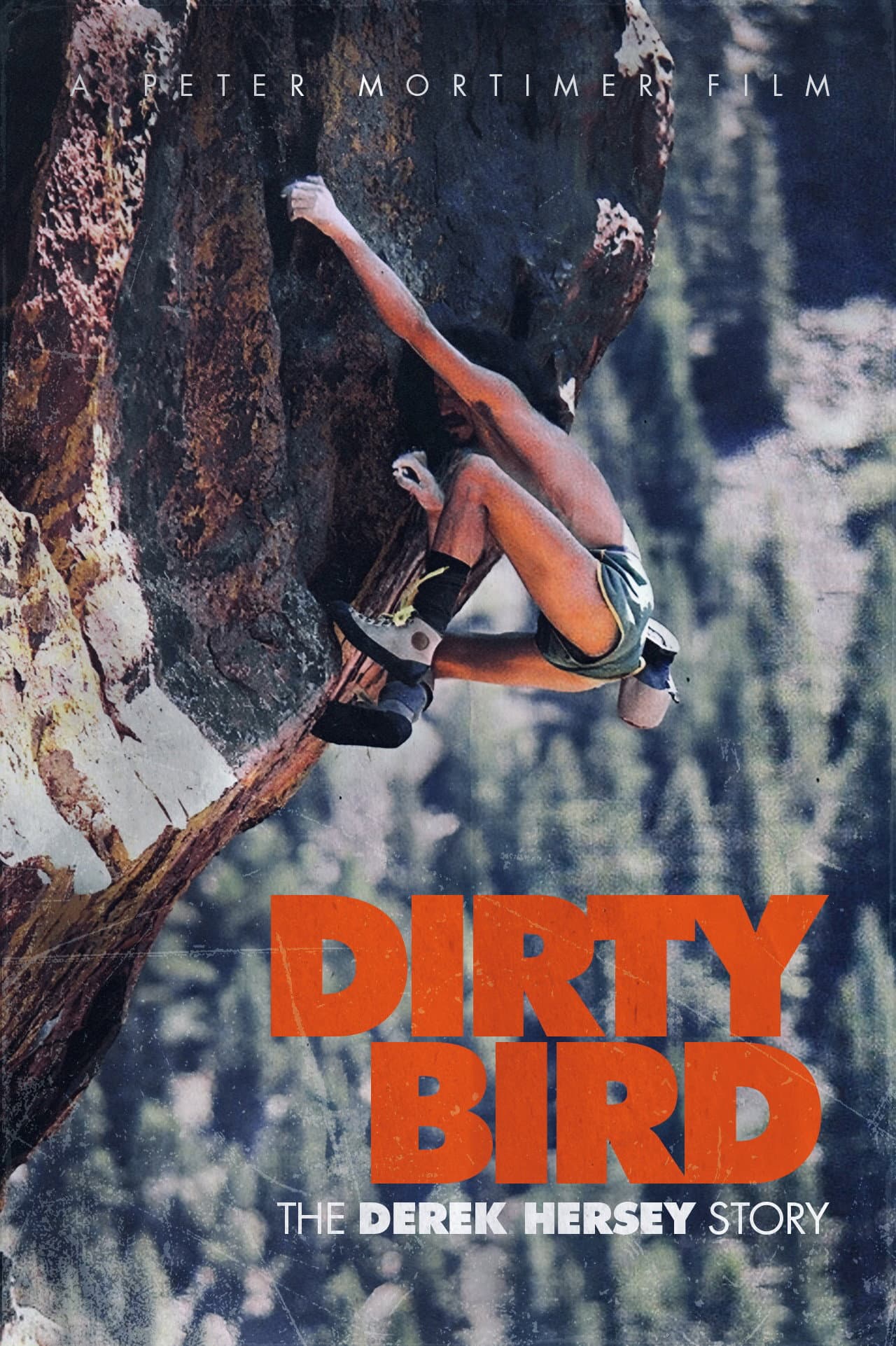 Dirty Bird, The Derek Hersey Story preview 2