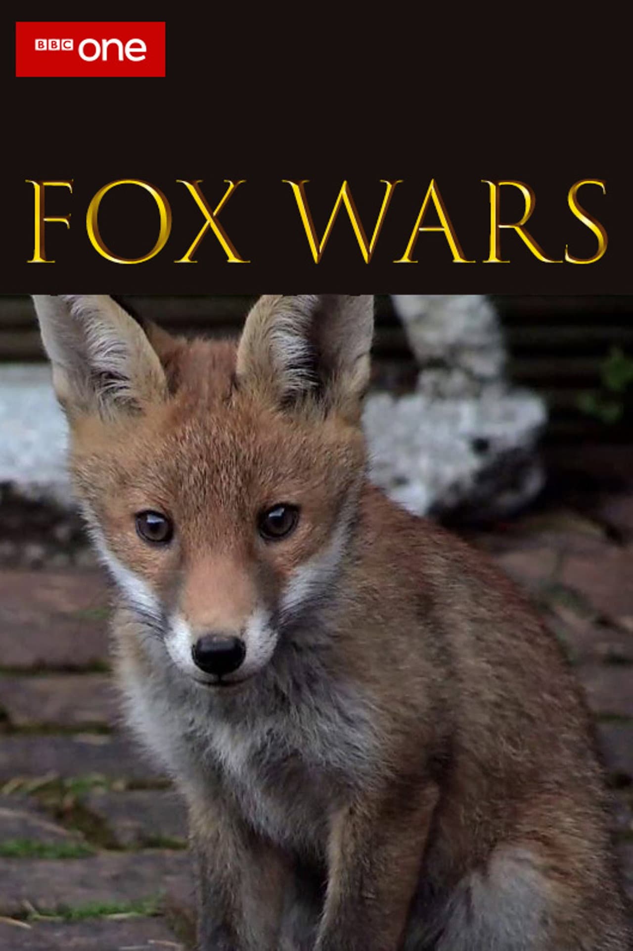 Fox Wars preview 1