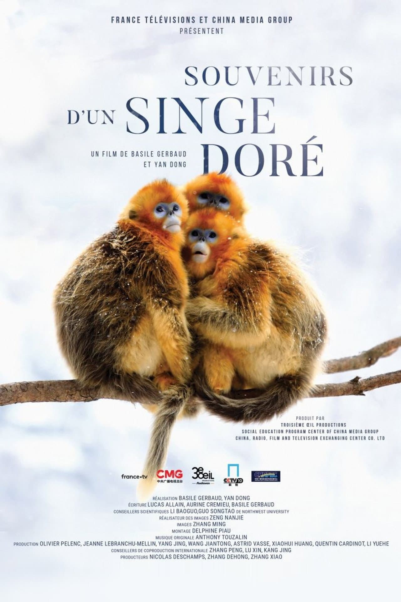 Souvenirs d'un singe doré preview 2