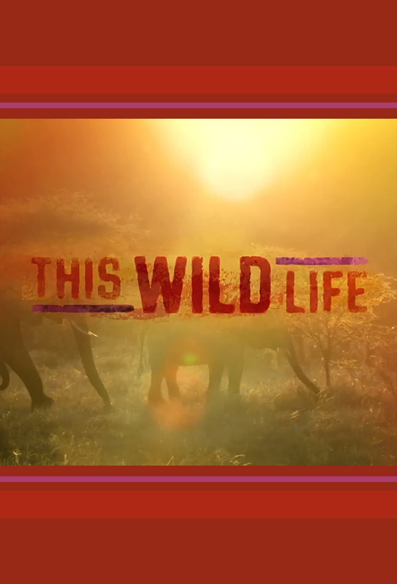 This Wild Life preview 1