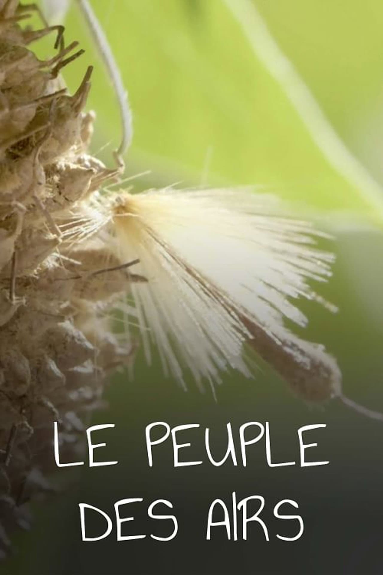 Le Peuple des airs preview 2