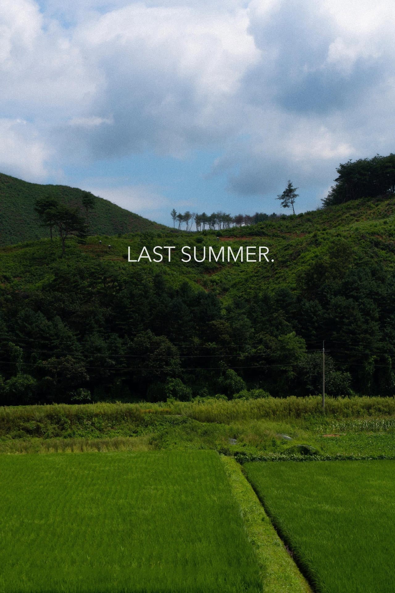 Last Summer preview 2