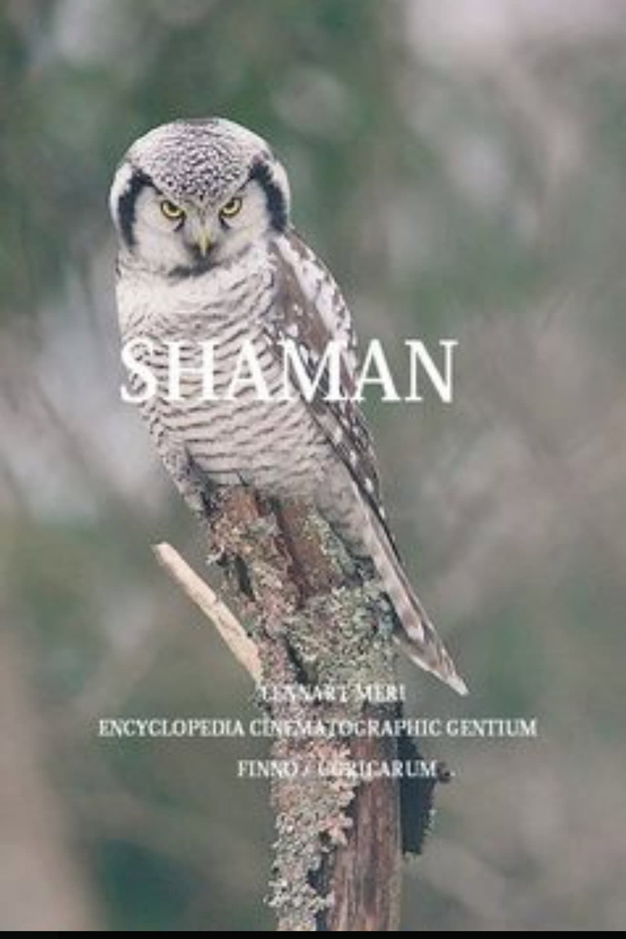 The Shaman preview 1