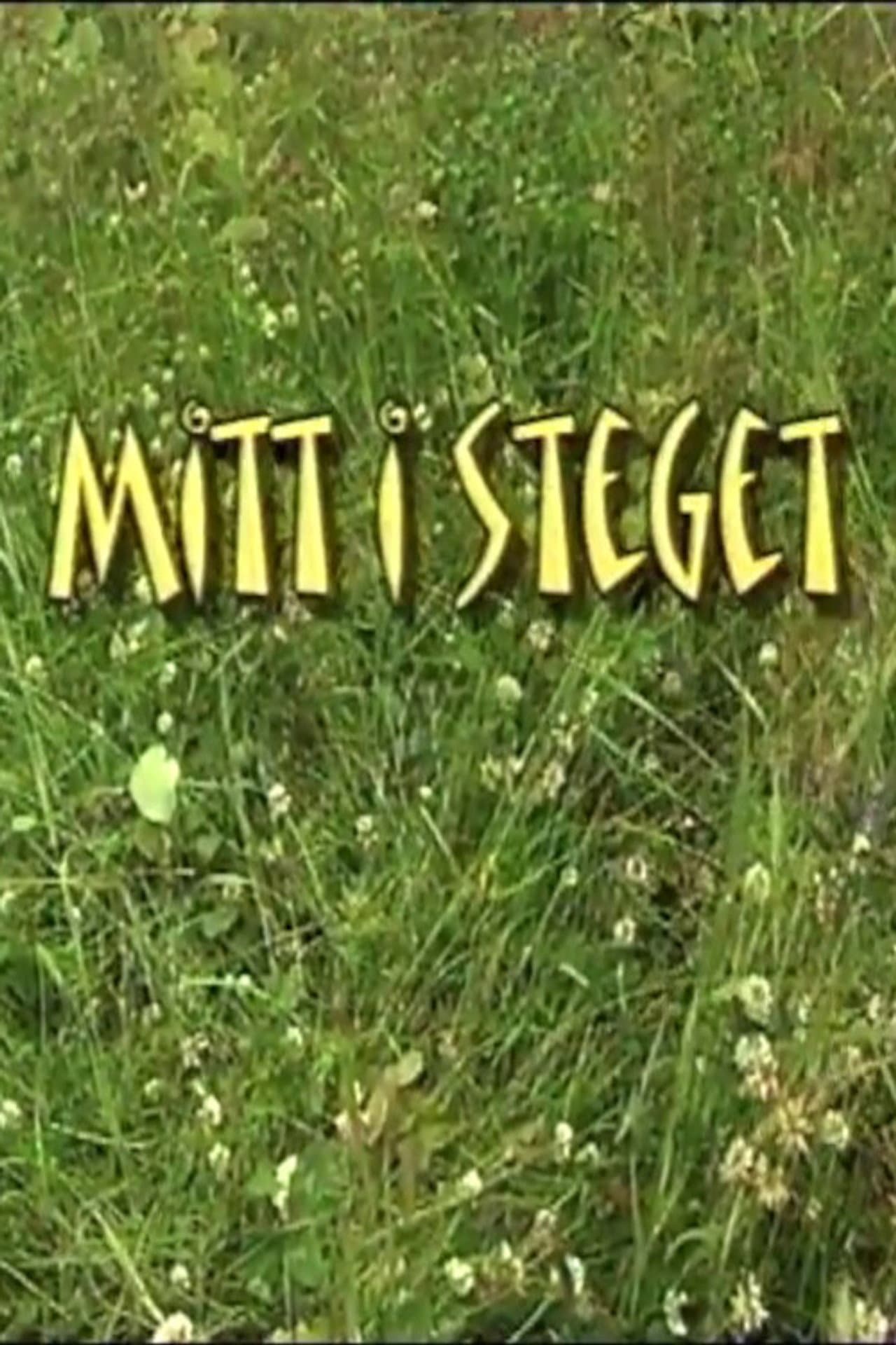 Mitt i steget preview 1