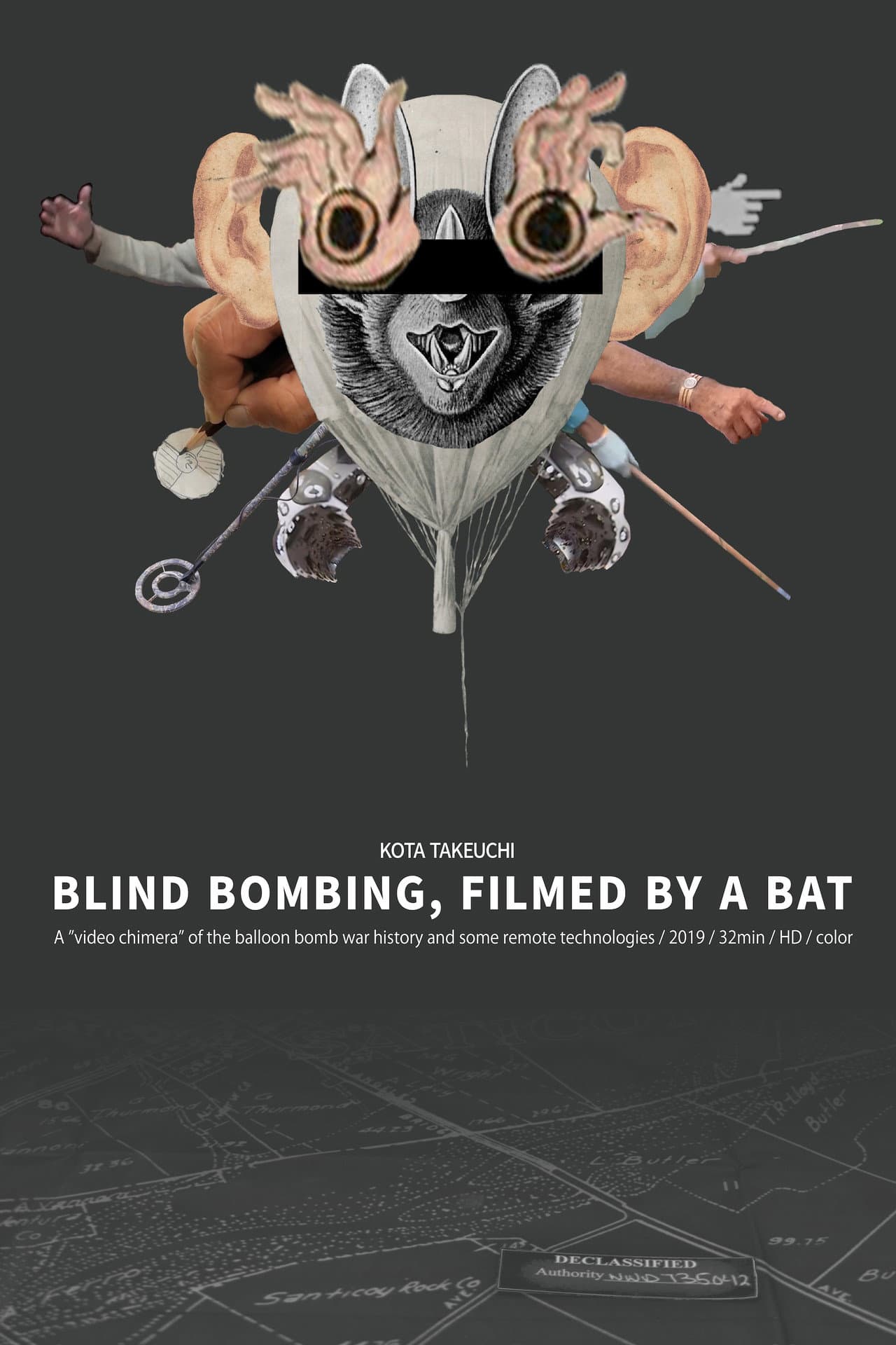 Blind Bombing, Filmed by a Bat preview 1