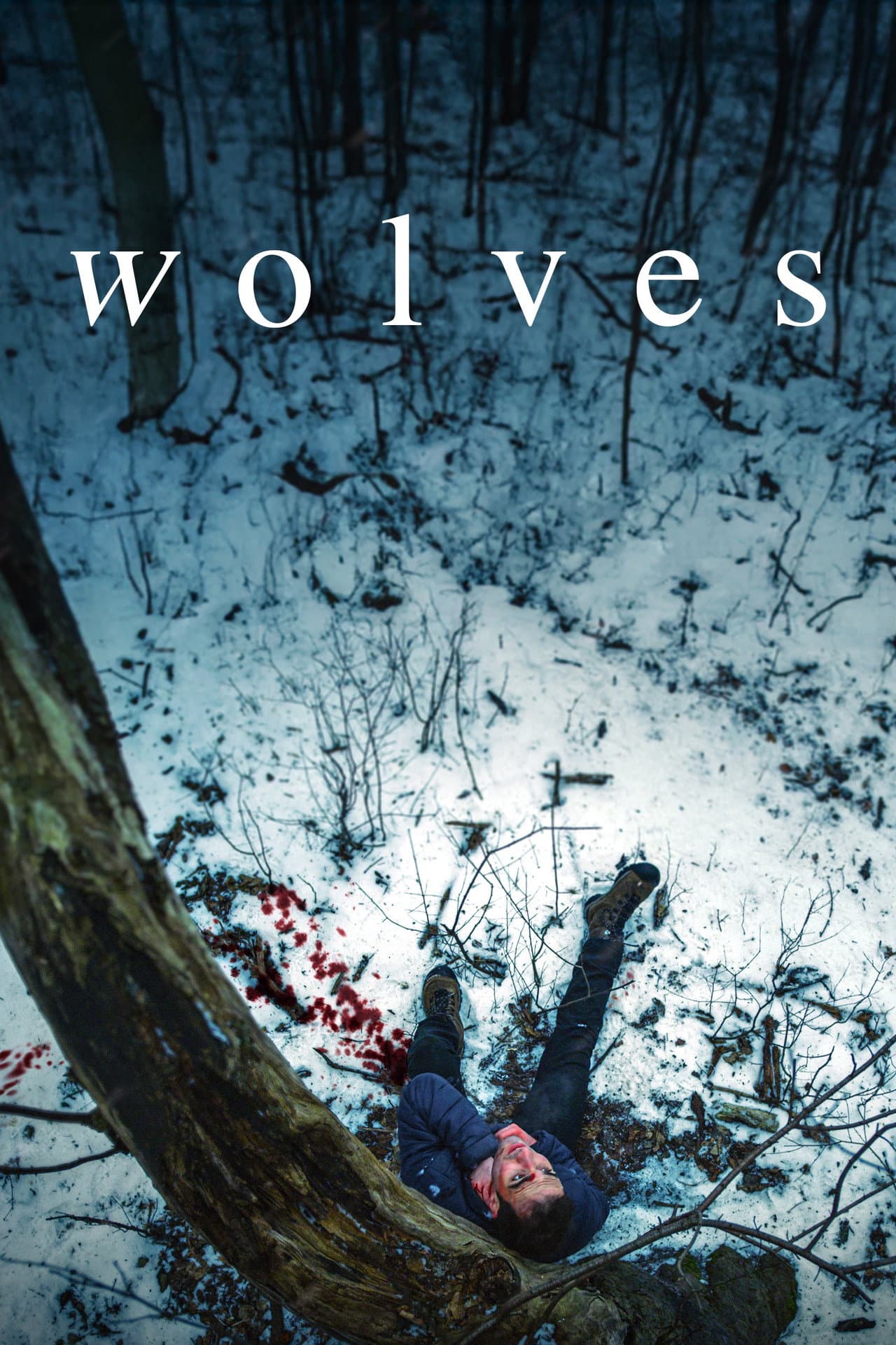 Wolves preview 2
