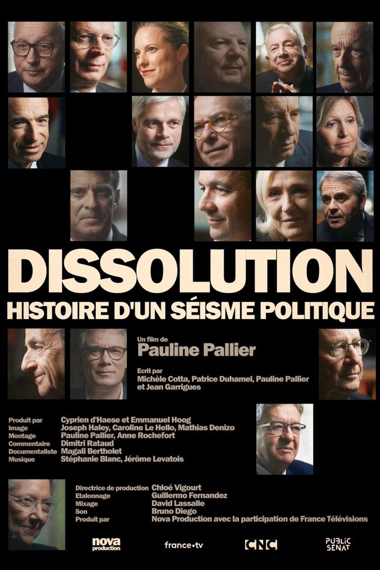 Dissolution, histoire d'un séisme politique preview 2