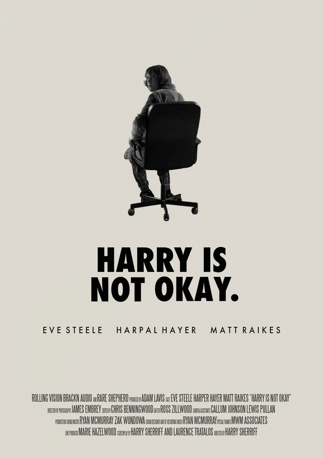 Harry Is Not Okay preview 1