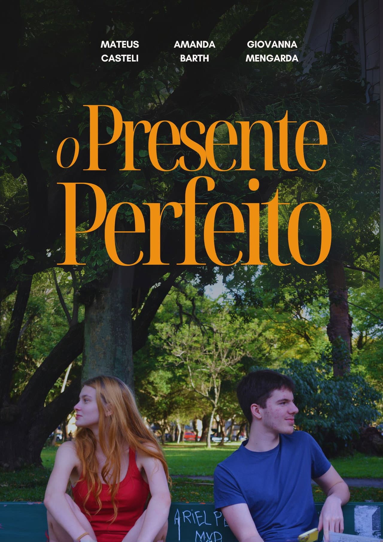 The Perfect Gift preview 1