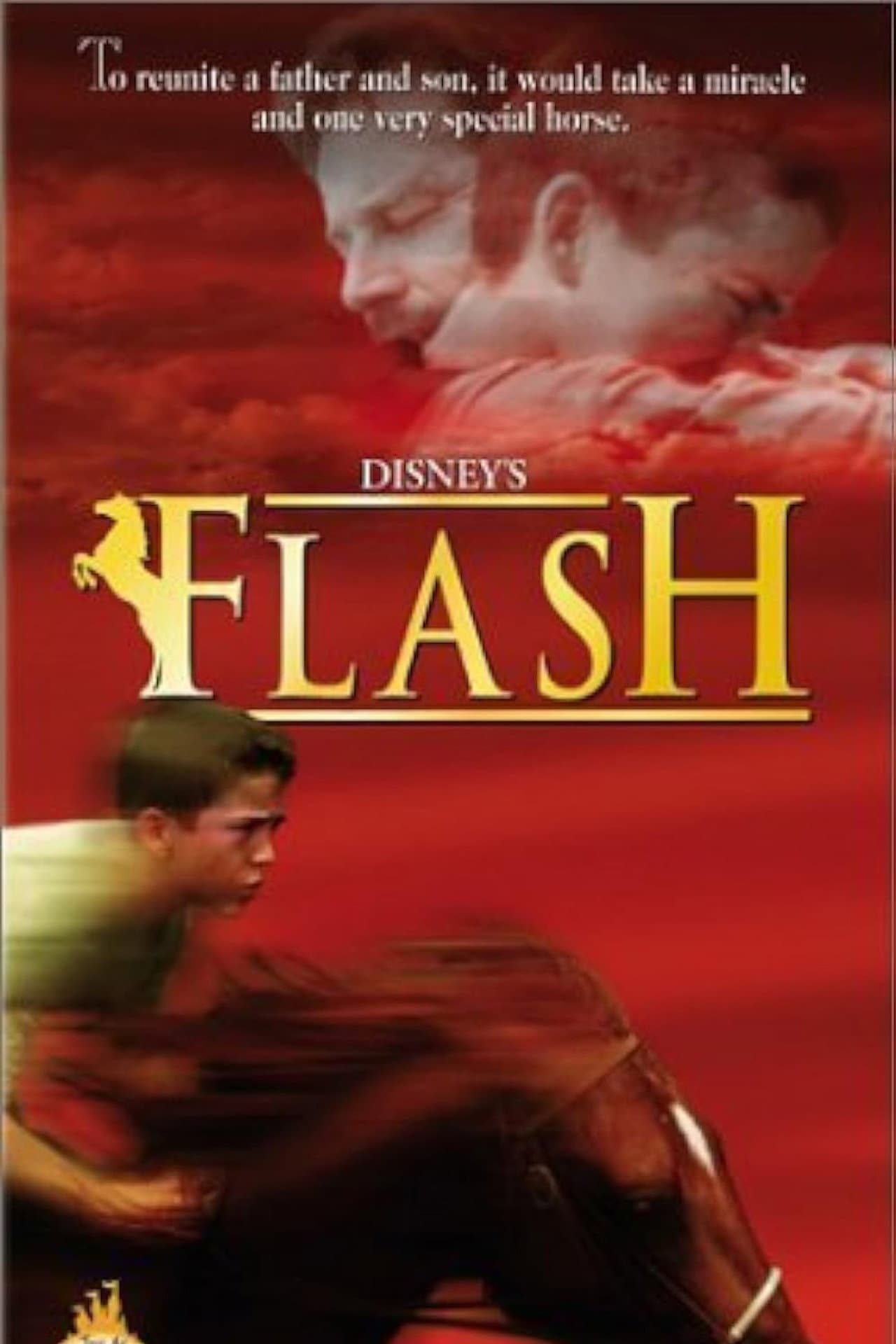 Flash preview 1