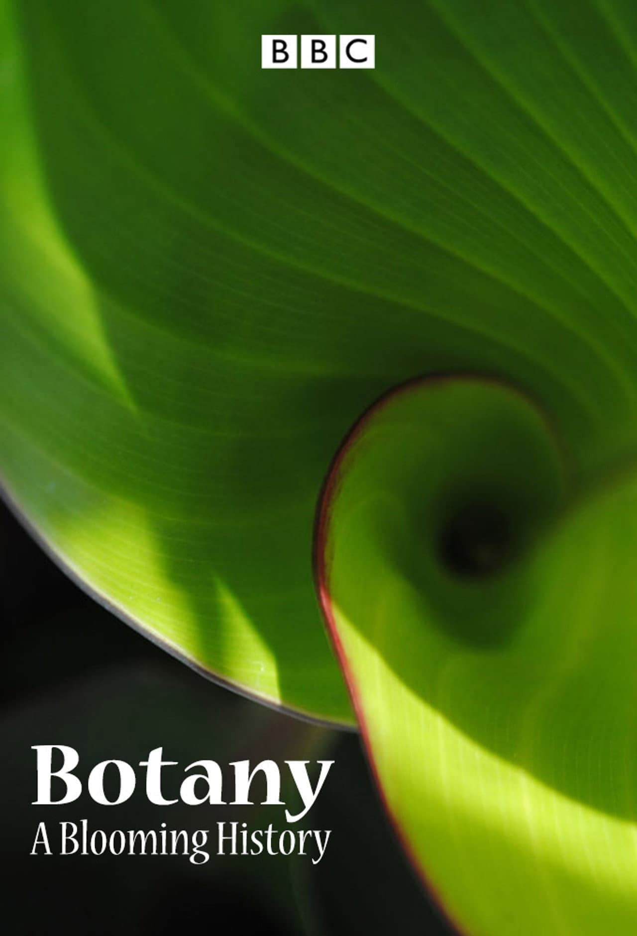 Botany: A Blooming History preview 2