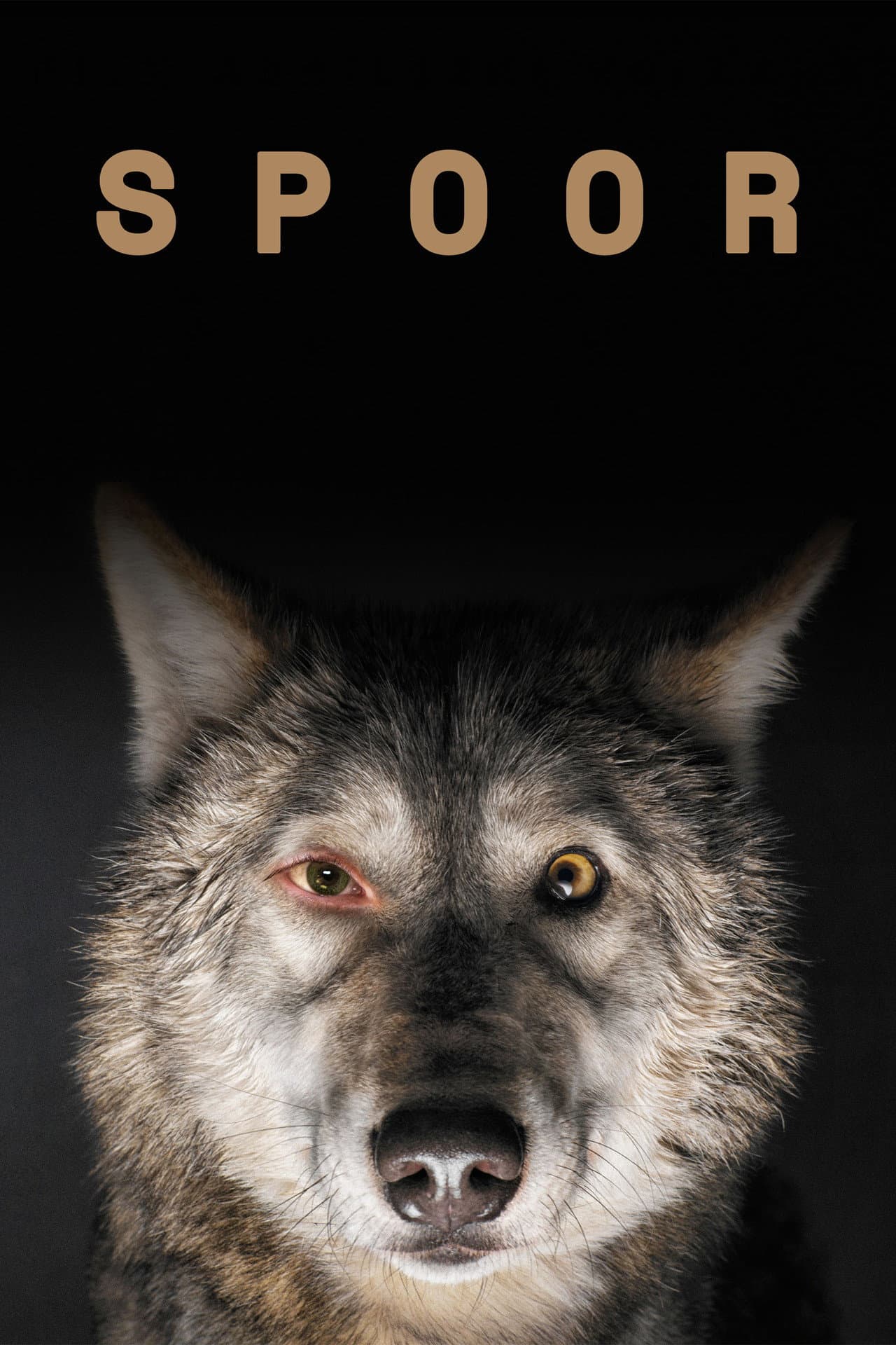 Spoor preview 2