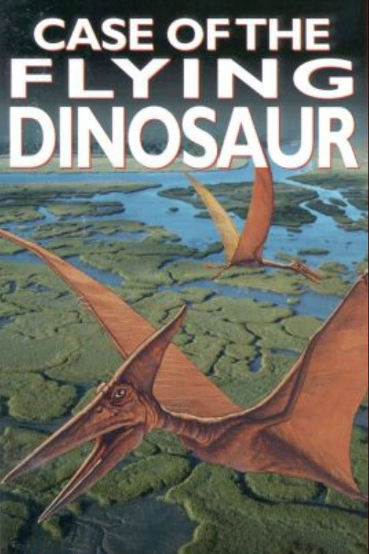 The Case of the Flying Dinosaur preview 2