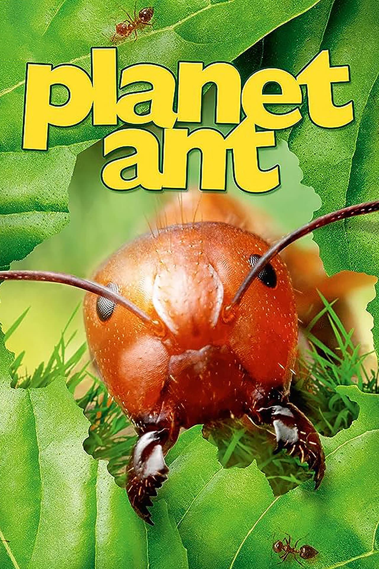 Planet Ant: Life Inside The Colony preview 2