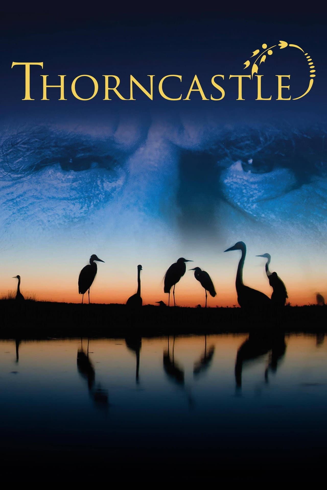 Thorn Castle preview 2