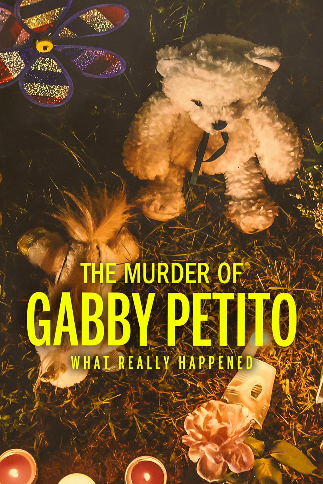 The Murder of Gabby Petito: What Really Happened preview 2