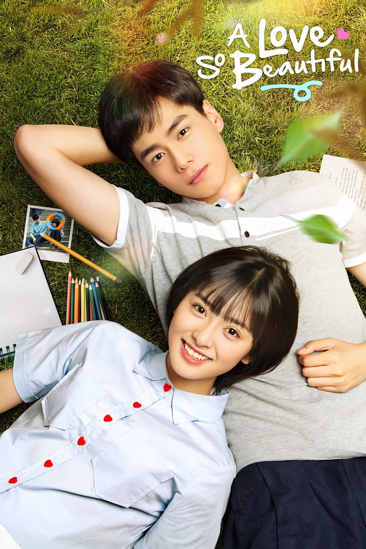 A Love So Beautiful preview 2