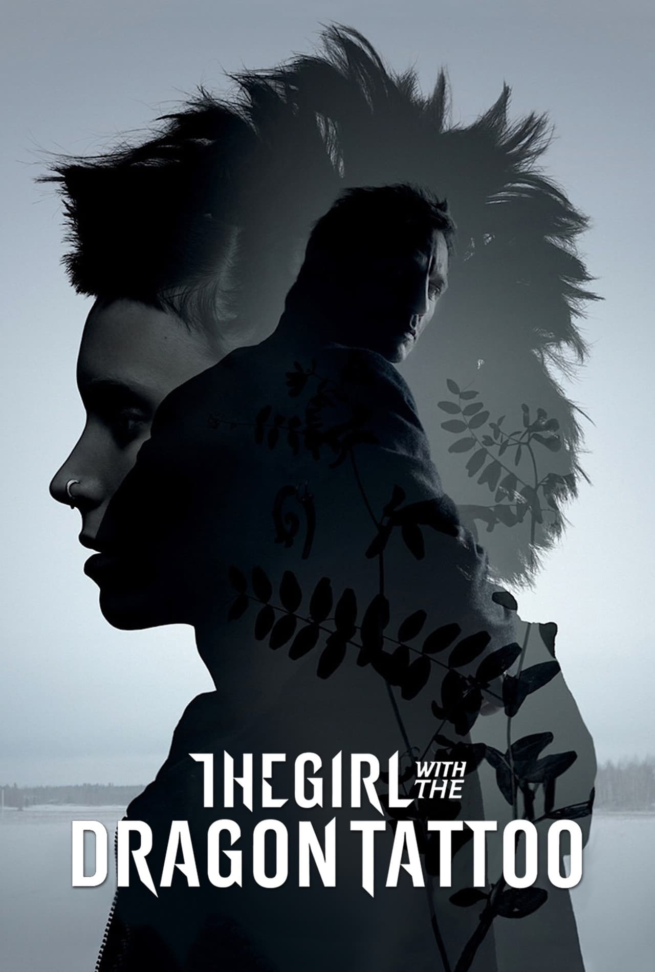 The Girl with the Dragon Tattoo preview 2