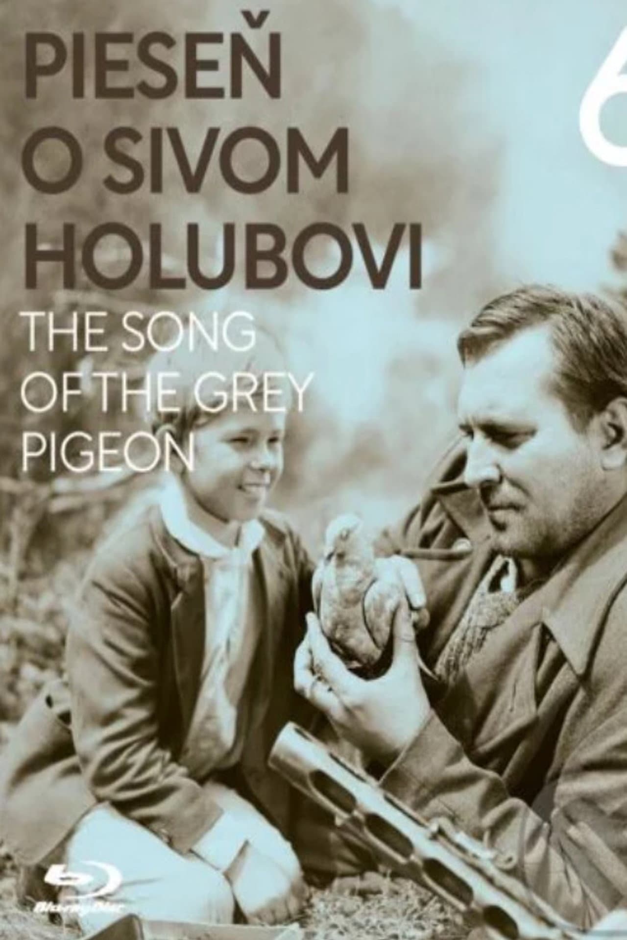 The Song of the Grey Pigeon preview 2