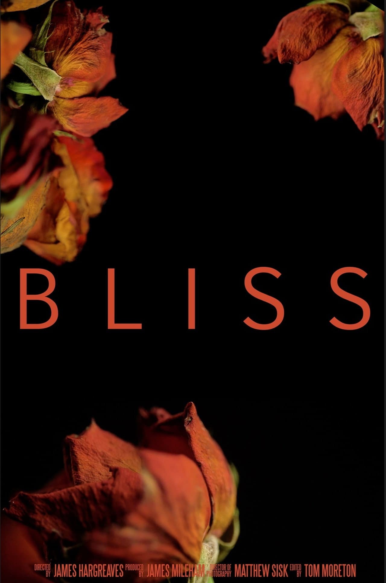 Bliss preview 2