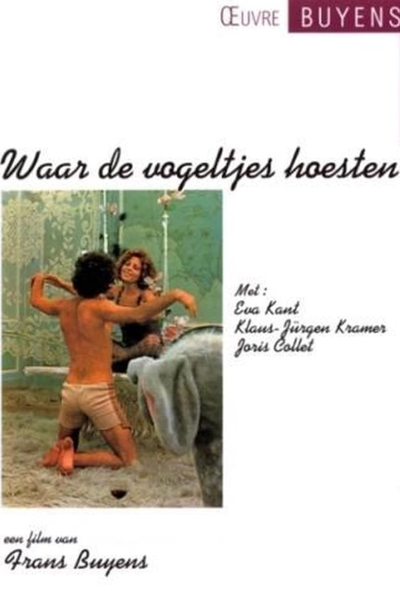 Waar de vogeltjes hoesten preview 2