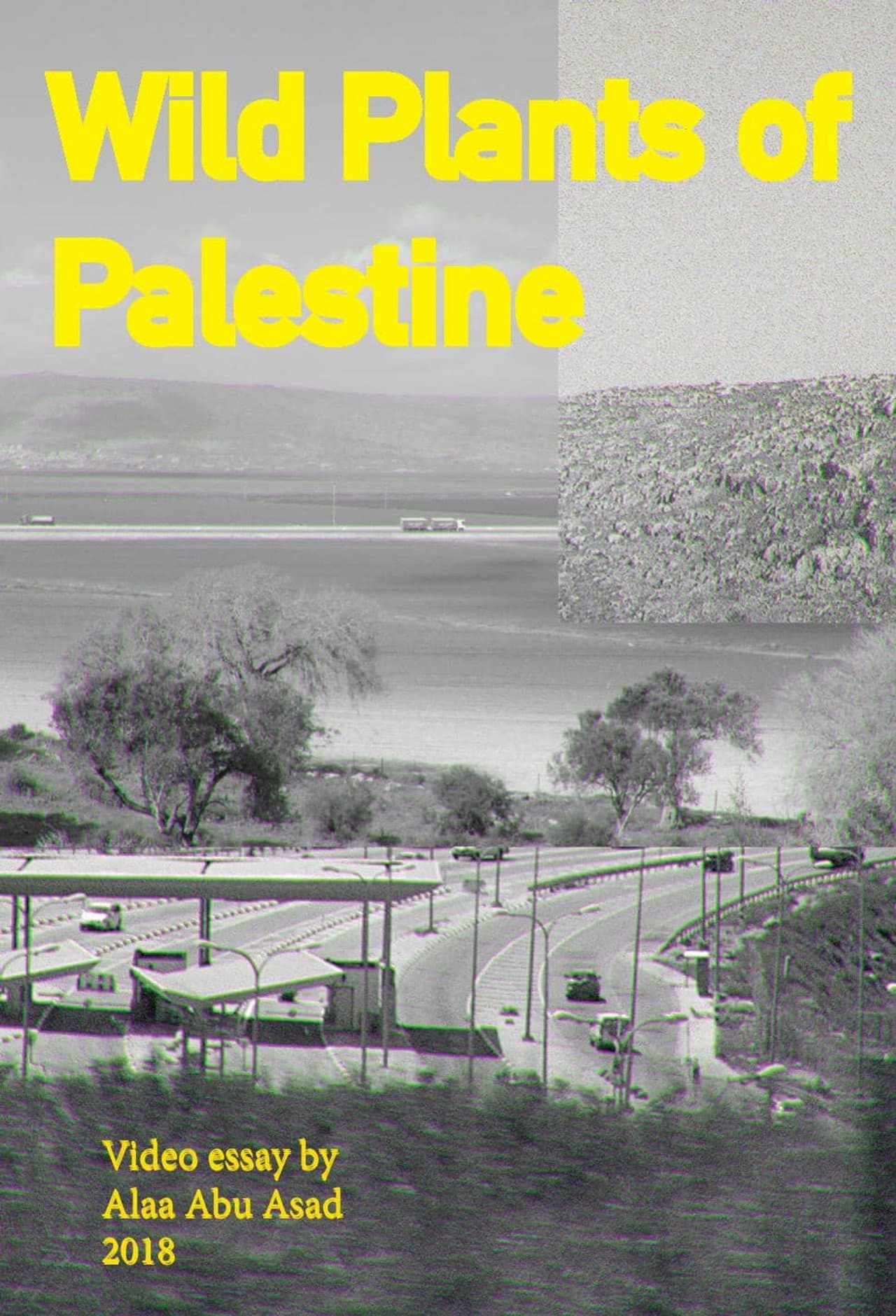 Wild Plants of Palestine preview 1