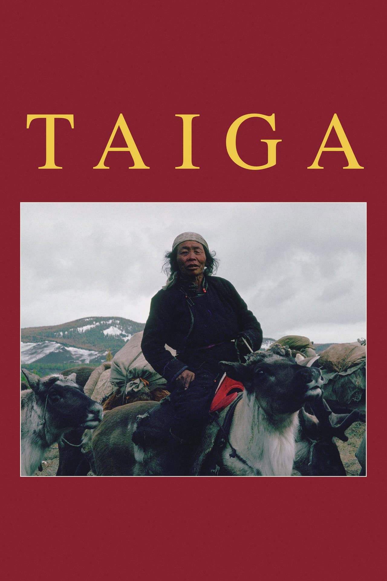 Taiga preview 2