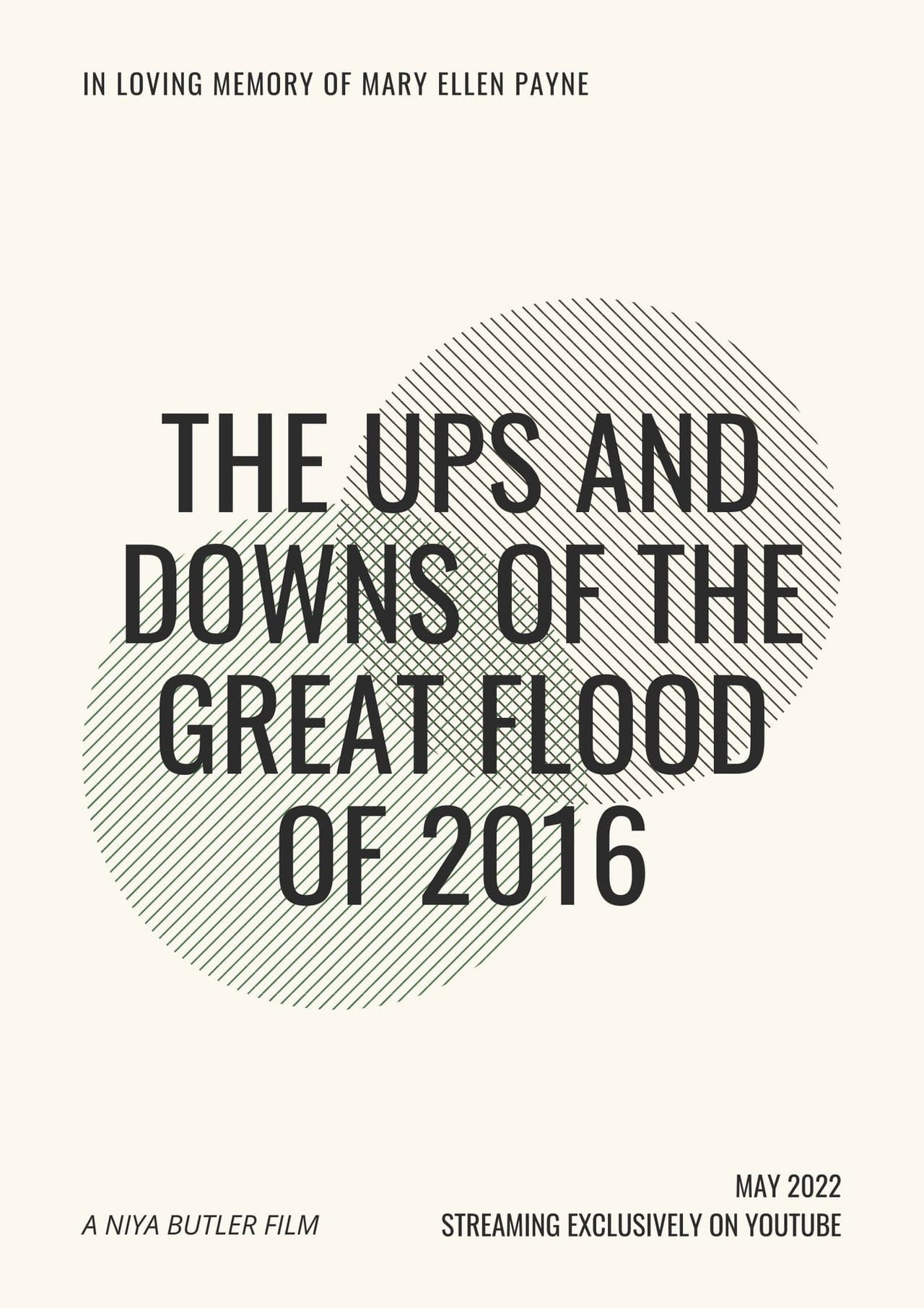 The Ups and Downs of the Great Flood of 2016 preview 2