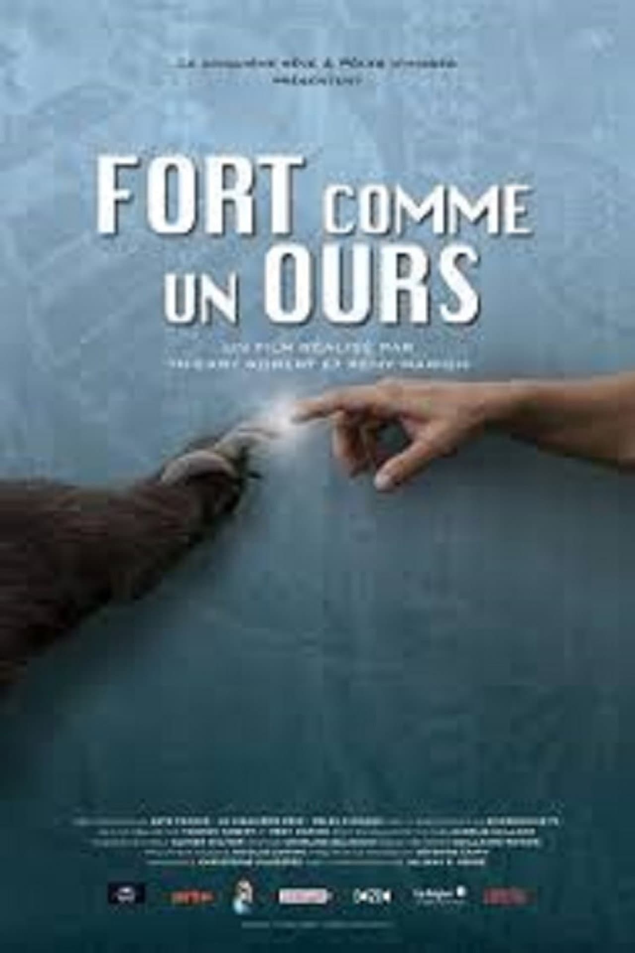 Fort comme un ours preview 1