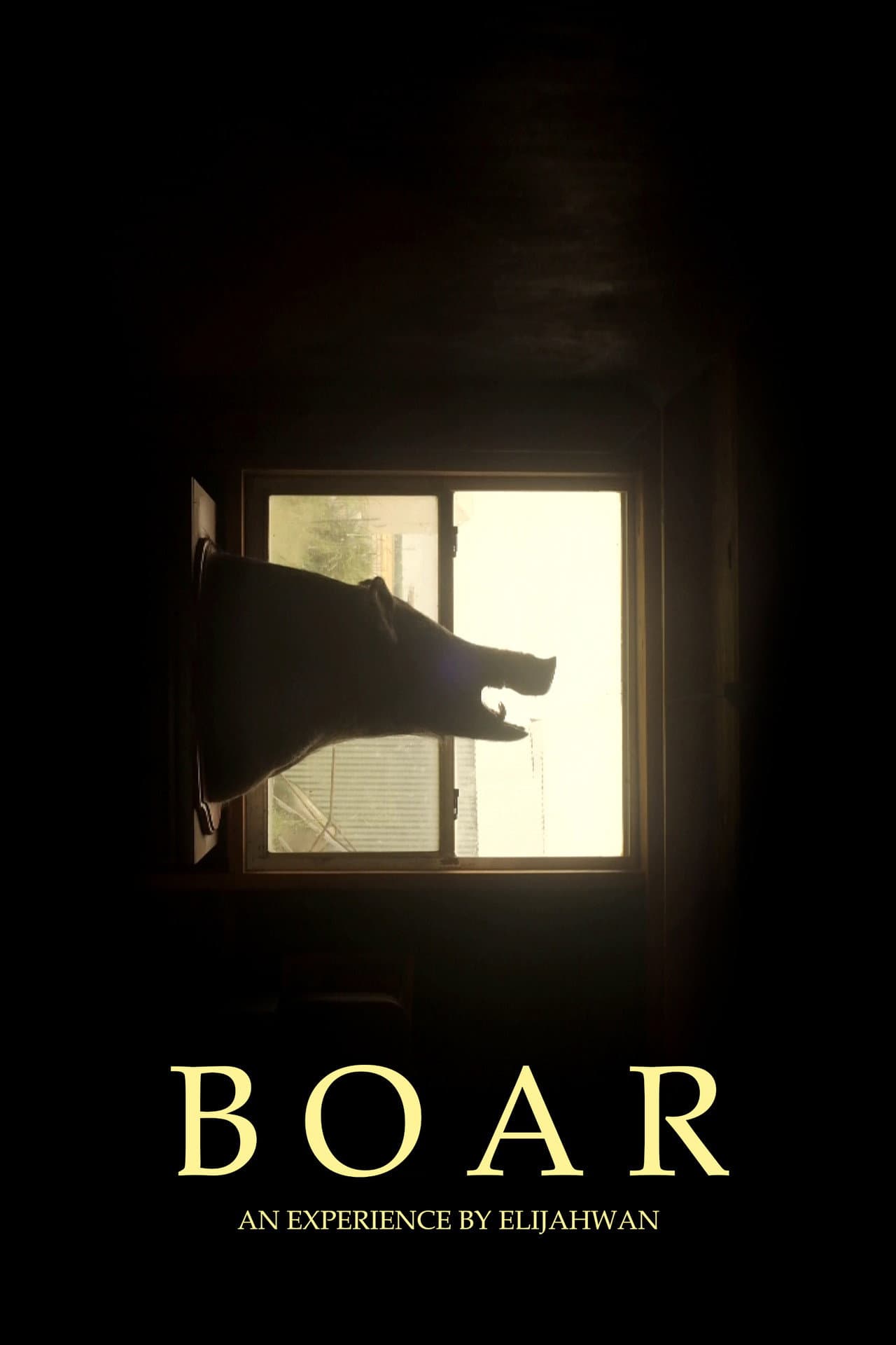 B O A R preview 2
