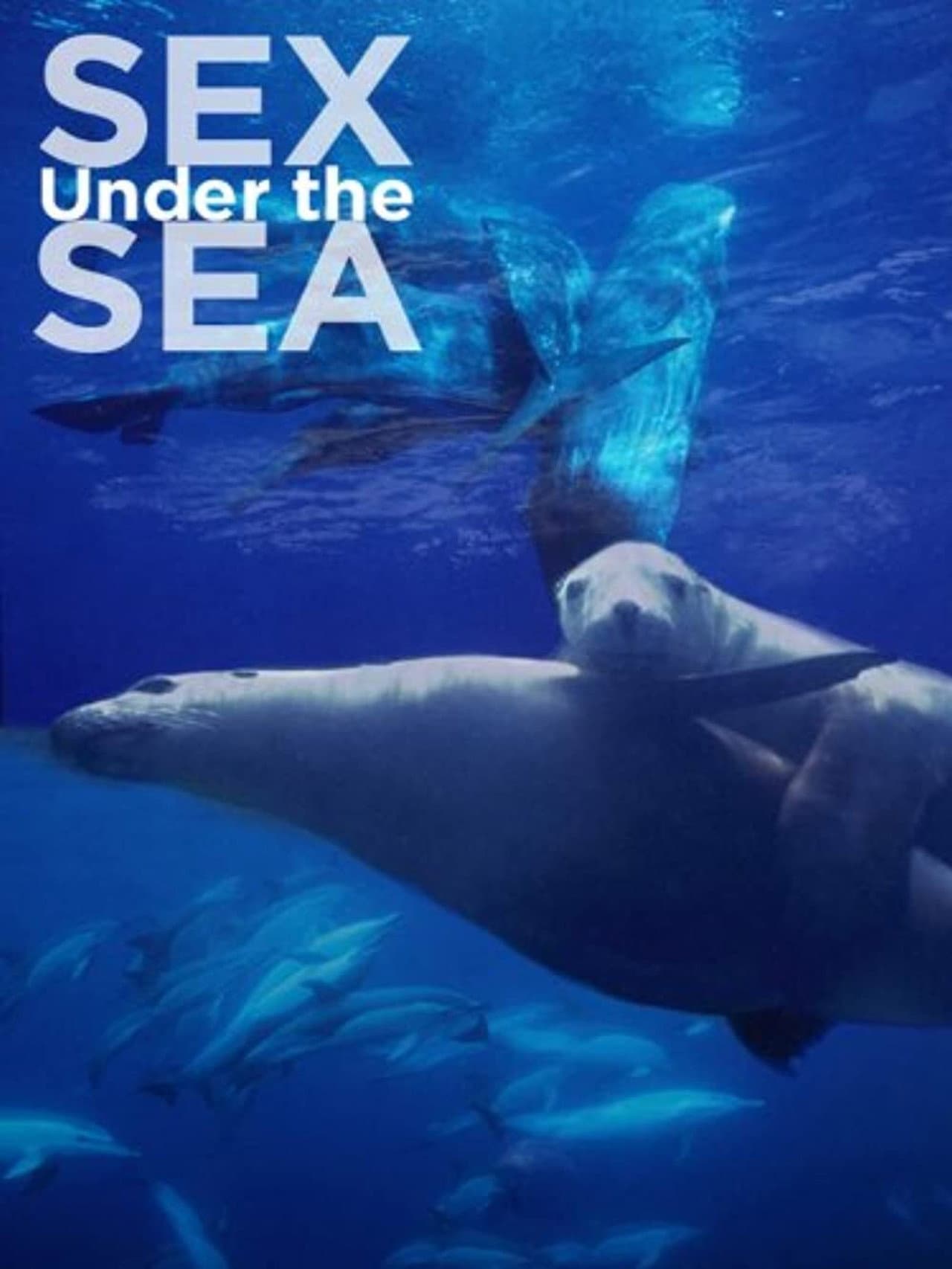 Sexe en Haute Mer preview 1