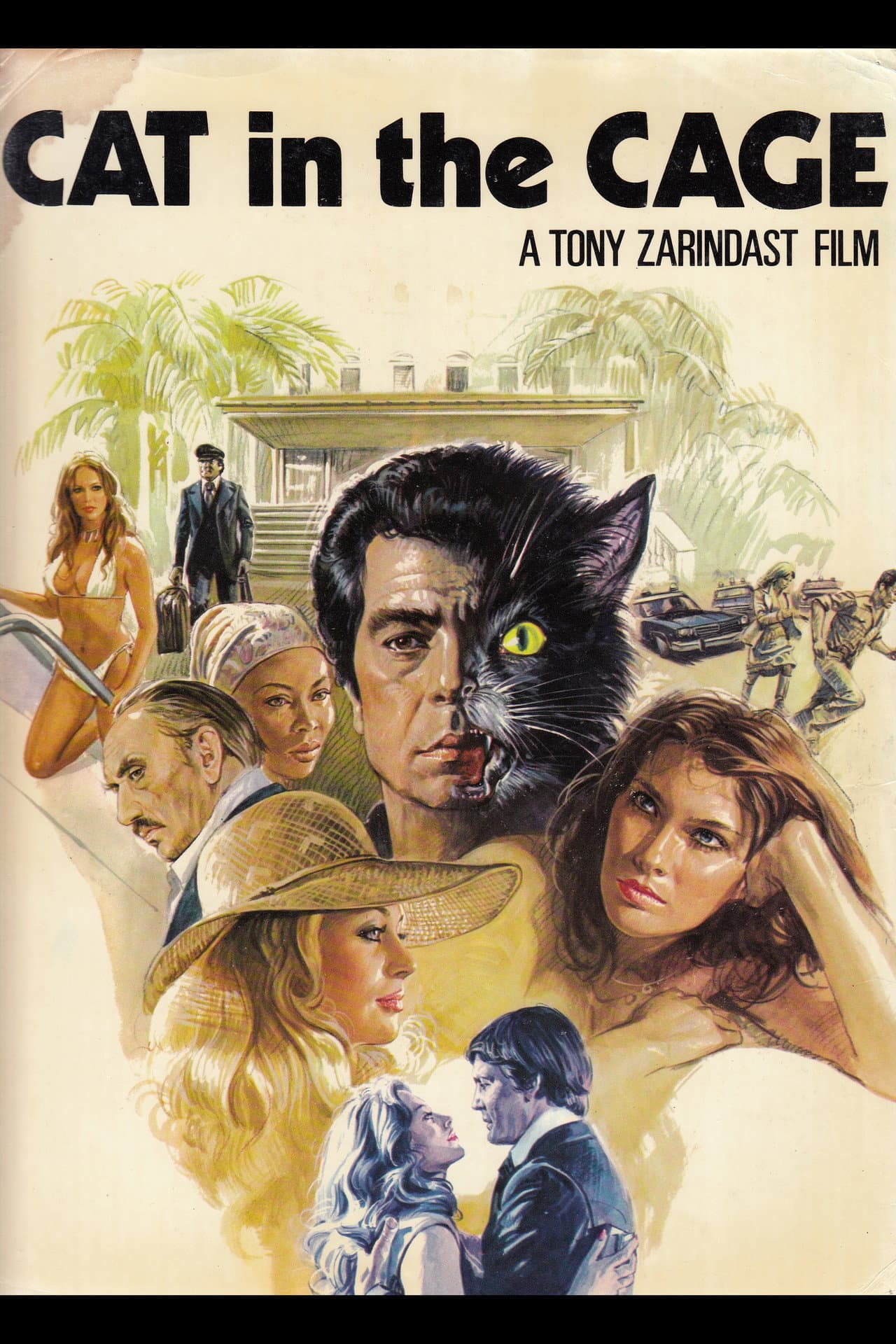 Cat in the Cage preview 2