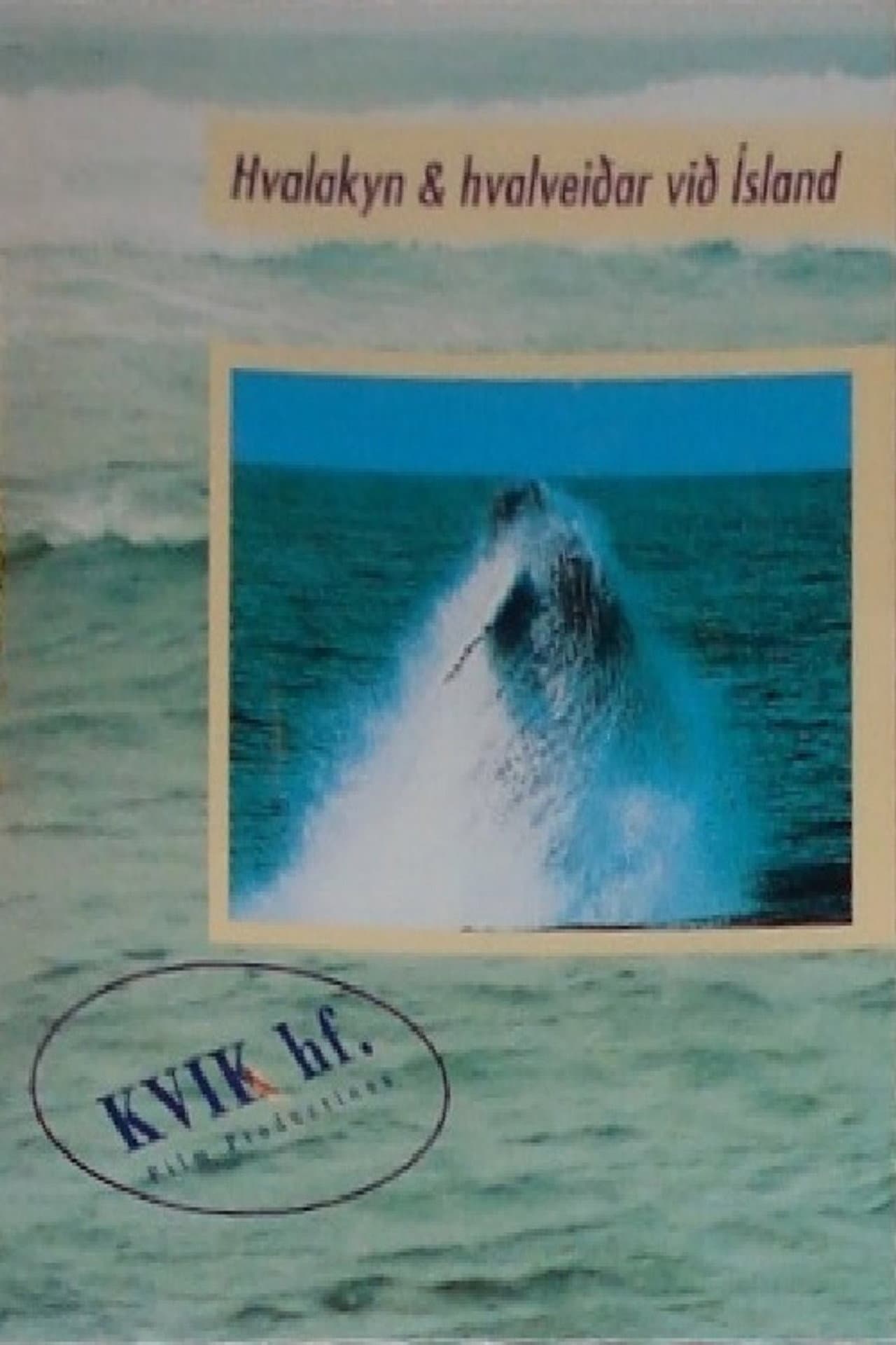 Iceland Whaling preview 1