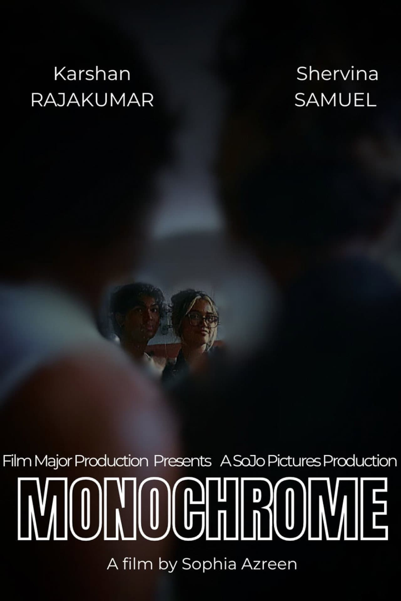 Monochrome preview 2