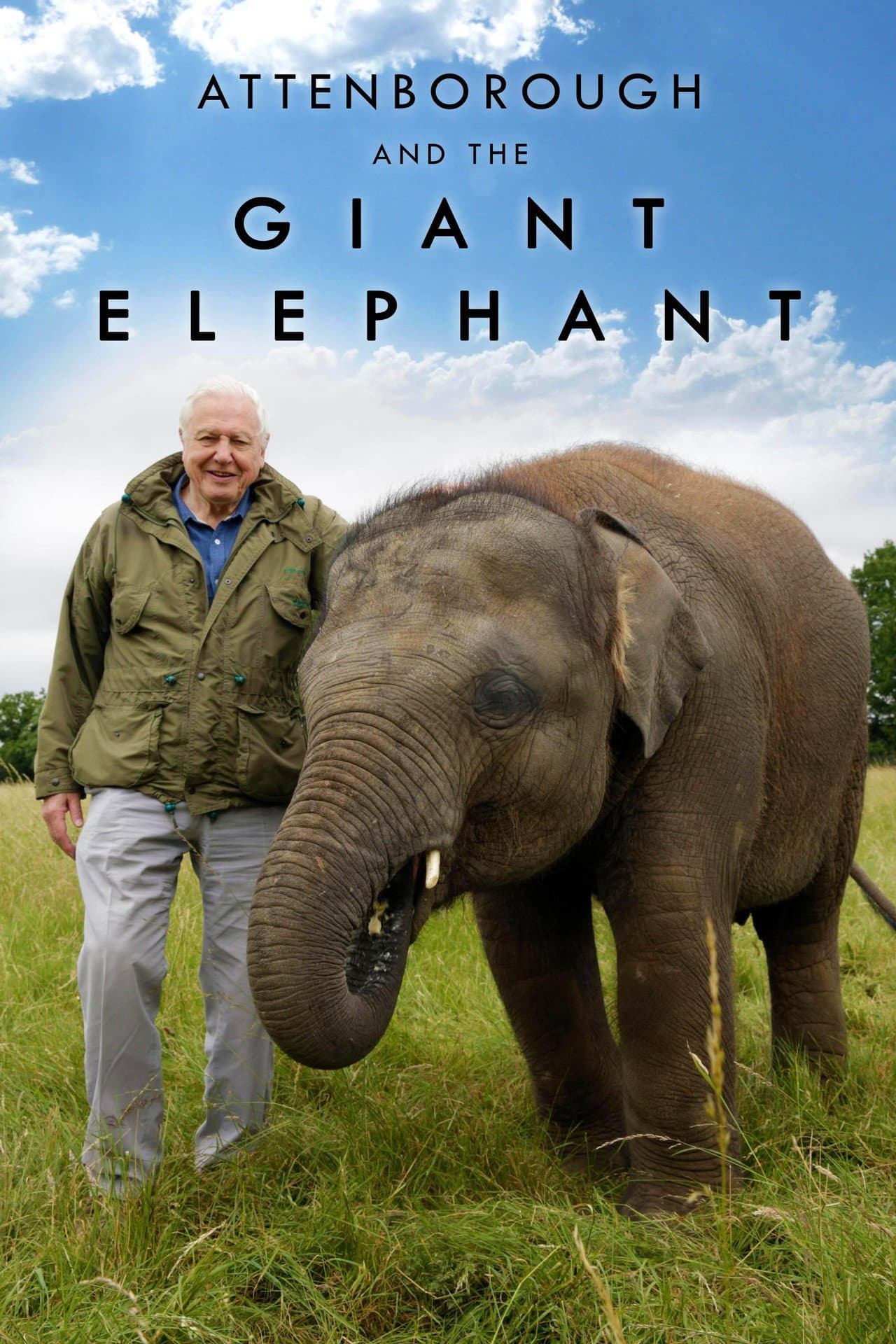 Attenborough and the Giant Elephant preview 2