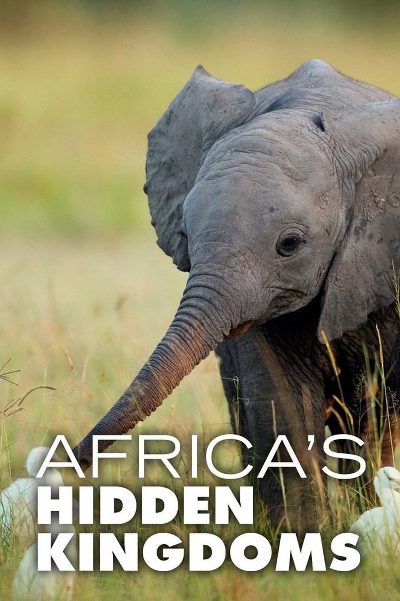 Africa's Hidden Kingdoms preview 2