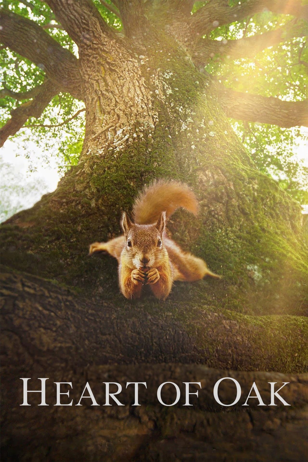 Heart of an Oak preview 2