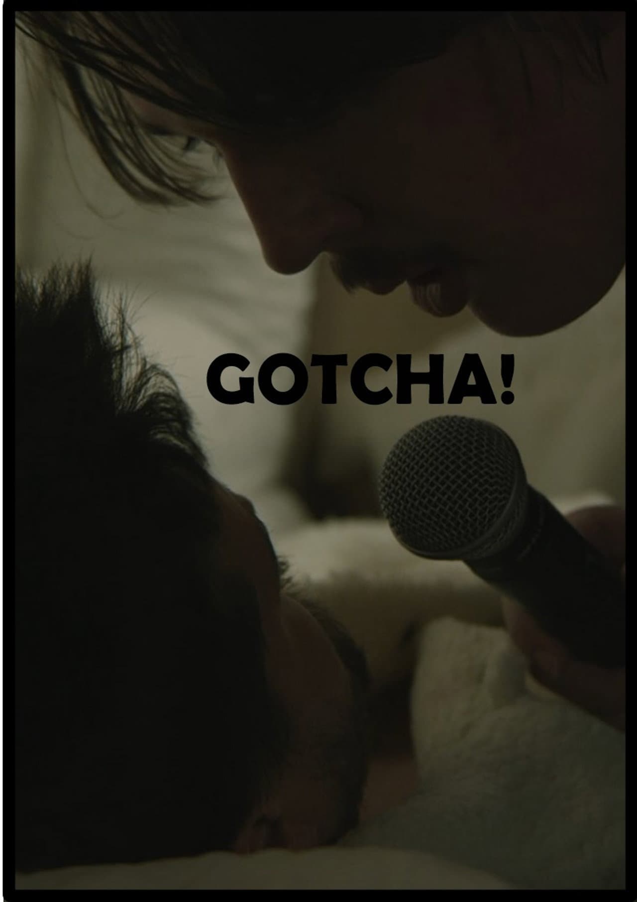 Gotcha! preview 2