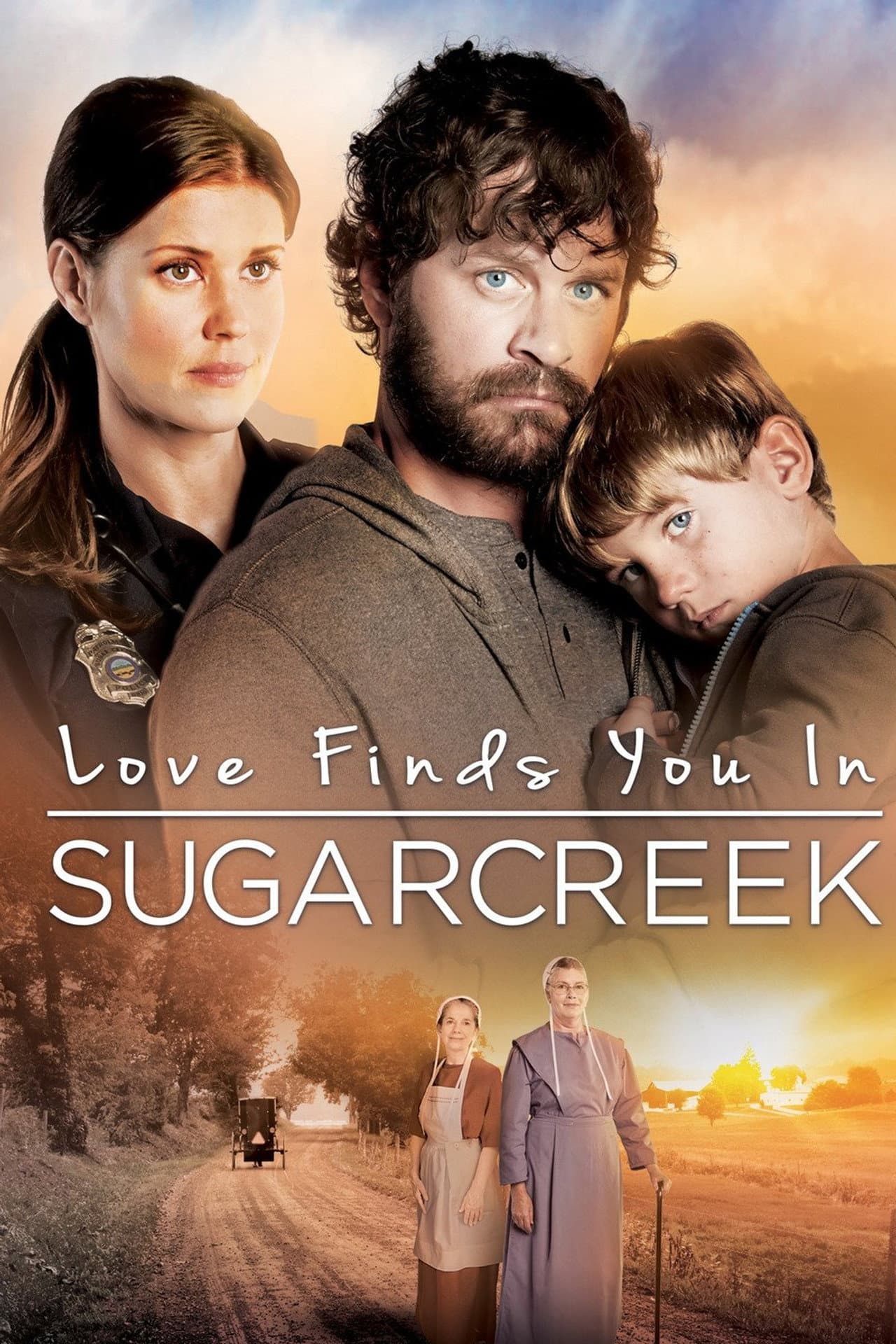 Love Finds You In Sugarcreek preview 2