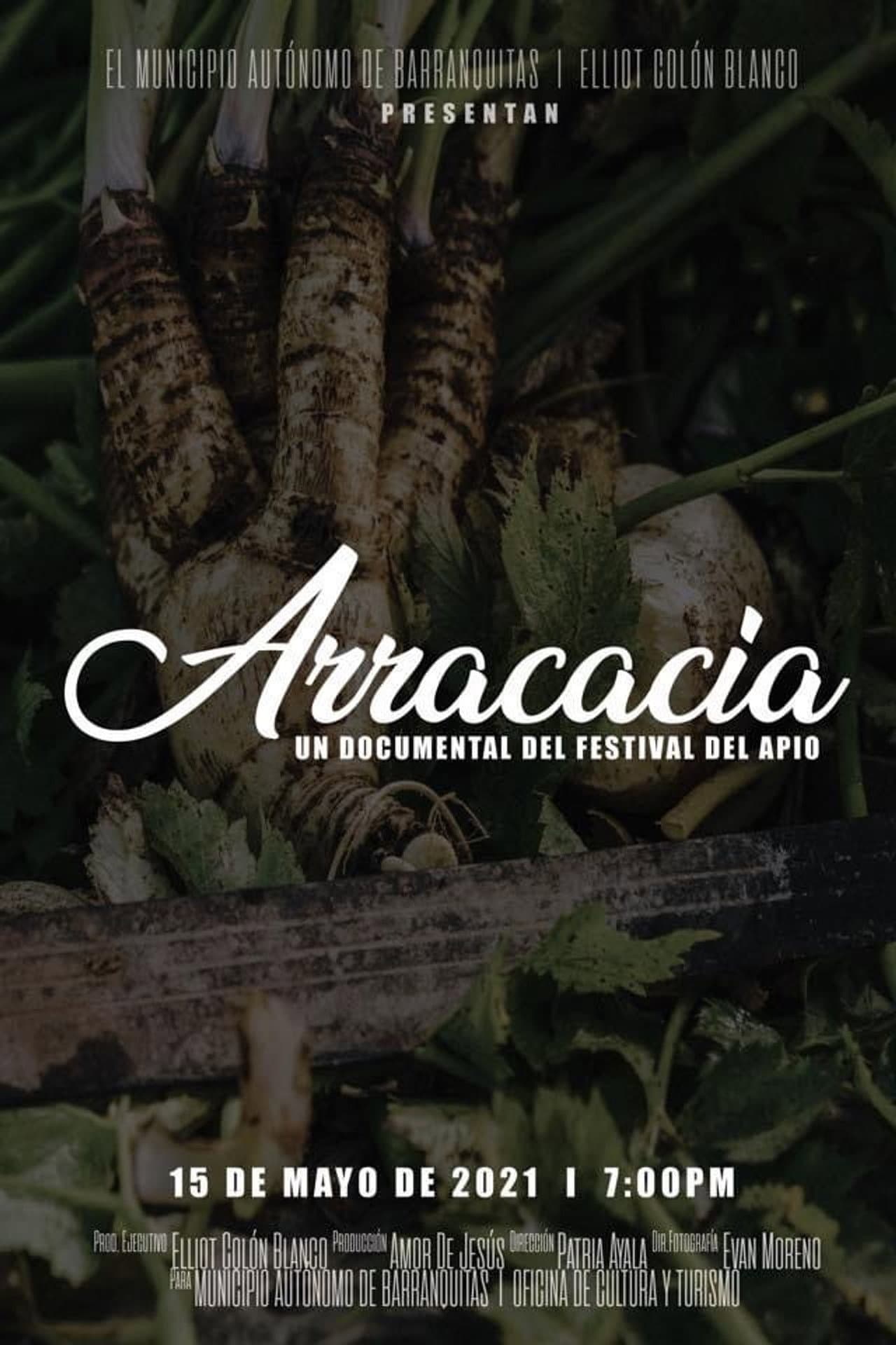 Arracacia: A Celery Festival Documentary preview 1