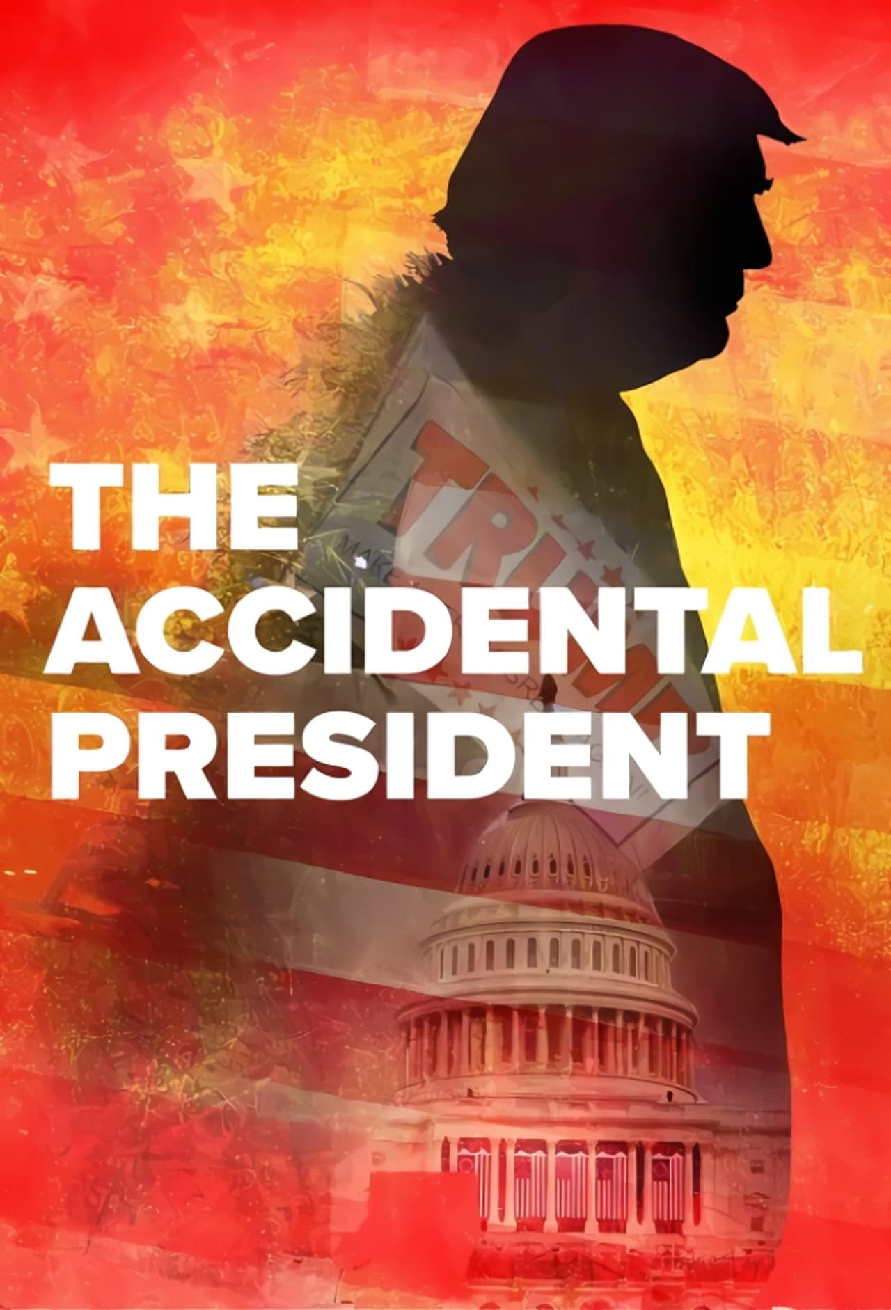 The Accidental President preview 2
